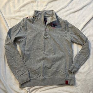 Disney Cruise Line Quarterzip Grey Sweatshirt Sz Small | Preppy | Vacation